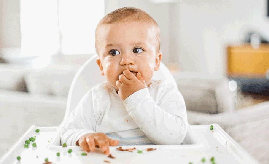 Pane Svezzamento Quando Introdurlo Come Tagliarlo