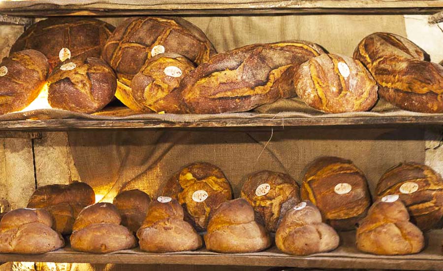 Pane Altamura Ricetta Originale Dove Trovarlo